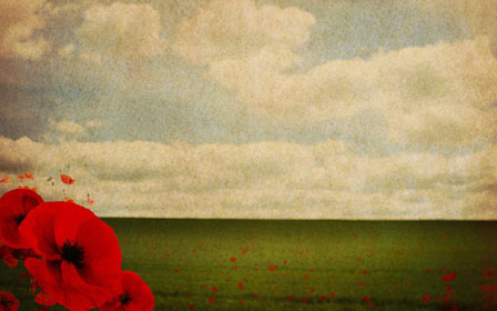 Poppy image painting