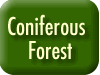 Coniferous Forest