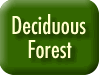 Deciduous Forest