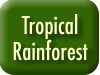Tropical Rainforest