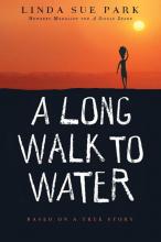 This is an image of the cover of the book A Long Walk to Water.