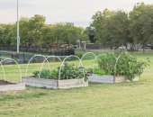 
  Quick, Easy, and Engaging Arbor Day Activities image