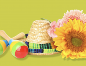 
  Cinco de Mayo Resources image