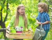 
  Let’s Talk About: National Garden Month image