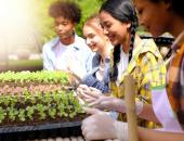 
  How Does Your Garden Grow: A Project-Based Approach to Learning image