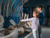 
  Celebrate International Museum Day! image